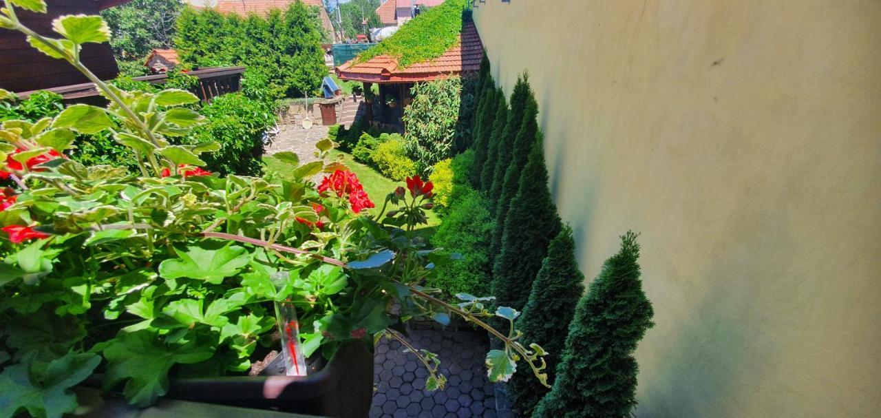 Ubytovanie U Babky Veľký Slavkov Exteriér fotografie